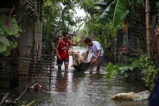 Evacuating pets as water rises in Bay, Laguna