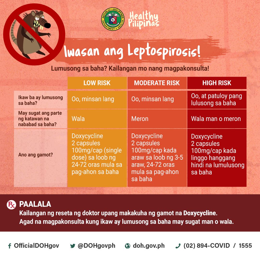 DOH warns public vs leptospirosis after &#39;Ulysses&#39; flooding 1