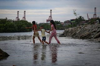 Palasyo nagbabala vs mga alkalde na dawit sa illegal logging, mining