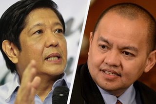 Gadon denies Marcos hand in impeachment complaint vs SC Justice Leonen