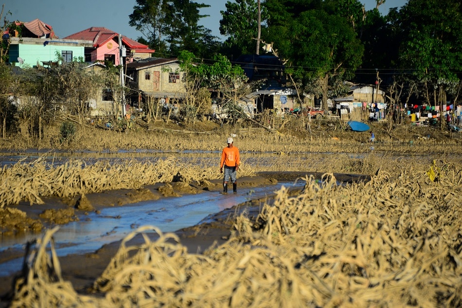 Farmers face starvation after corn fields in Cagayan