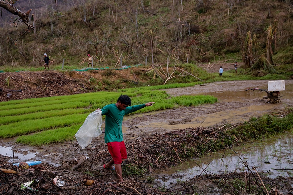 PH to import more rice in 2021 after losing 8 days worth of supply due to typhoons 1