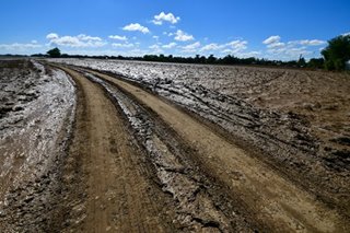 Climate Change body urged to map out 'clear, concrete' policies for disaster risk reduction