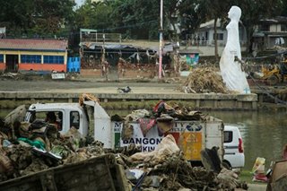 Marikina wants private firm penalized over land reclamation near river