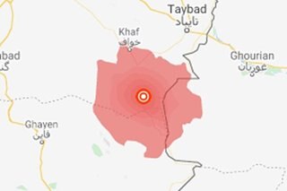 Magnitude 4.5 quake hits near Iran nuclear power plant: USGS