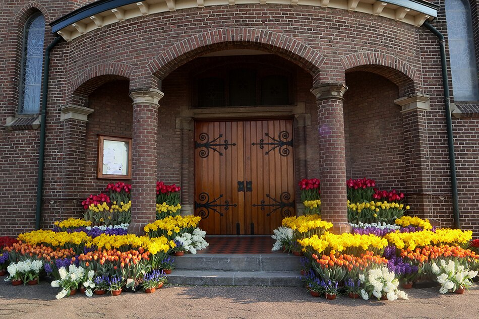 Flowers for Pope Francis’ Easter celebration on display in Dutch churches 1