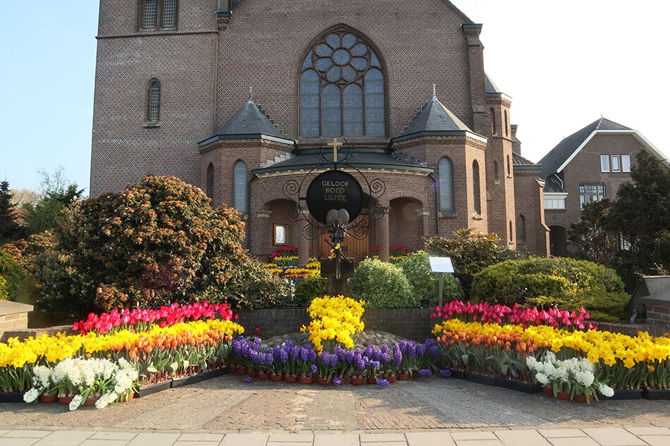 Flowers for Pope Francis’ Easter celebration on display in Dutch churches 2