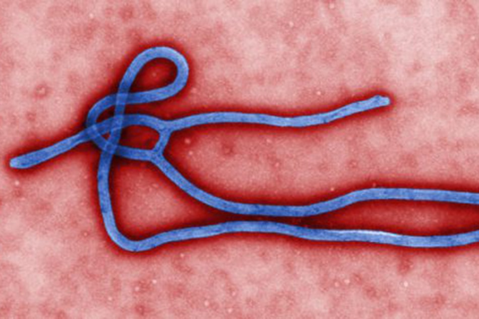 5 dead in new Ebola outbreak in Congo
