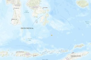 6.9-magnitude quake strikes off Indonesia: USGS