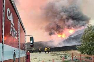 'Gender reveal firework' triggered California wildfire