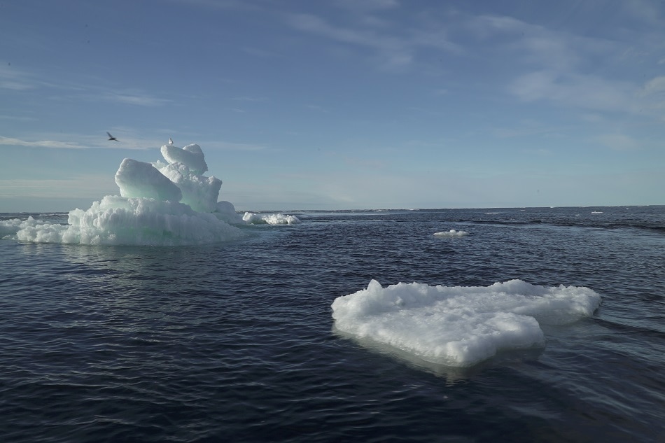 Ice loss to add 0.4C to global temperatures: study 1