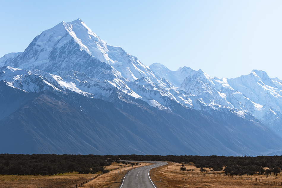 New Zealand vows crackdown on defecating backpackers | ABS-CBN News