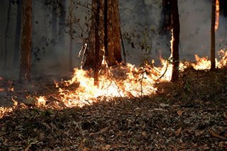 Ilang Pinoy apektado ng wildfires sa Australia