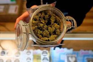 Pot demand in US state booms in first week of legal sales