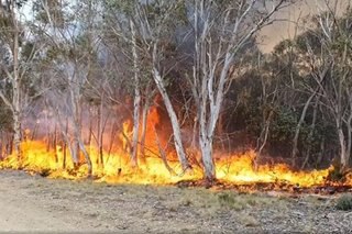 Australia readies for more bushfires with temperatures set to soar