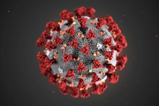 New coronavirus spreads more like flu than SARS - Chinese study
