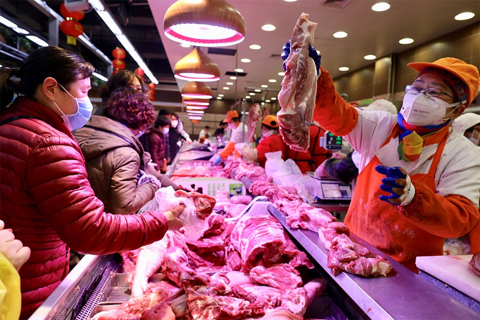 China pork crisis spurs pig farms&#39; return to cities 1