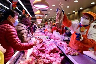 China pork crisis spurs pig farms' return to cities