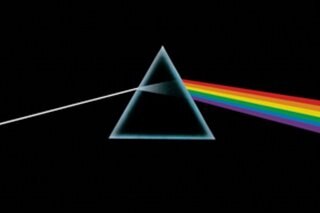 We don't need no social distance: US police bust Pink Floyd 'corona party'