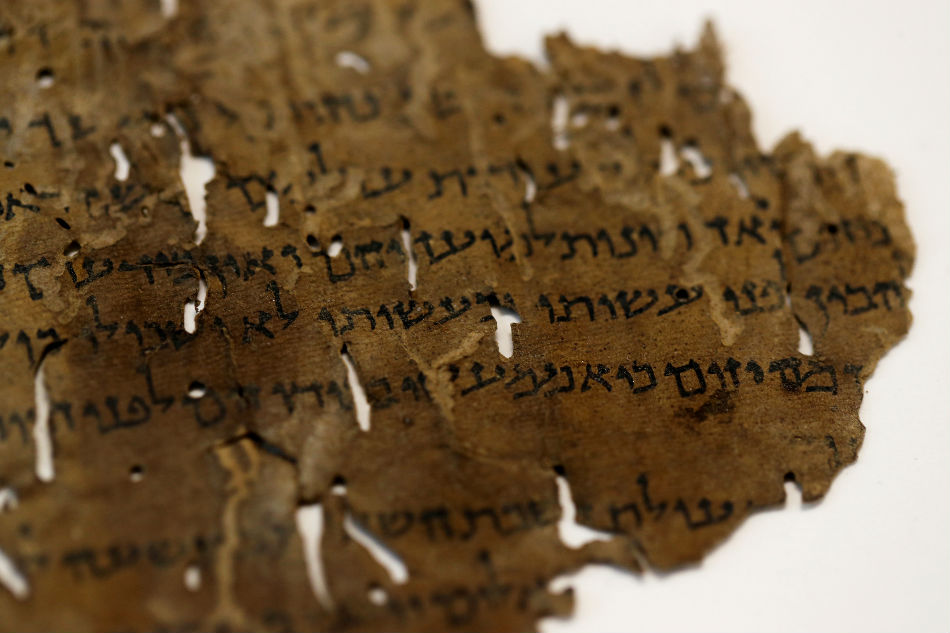 Hides that reveal: DNA helps scholars divine Dead Sea Scrolls 1