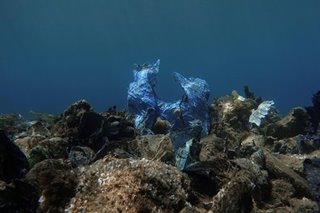 14 million tons of microplastics on sea floor: Australian study