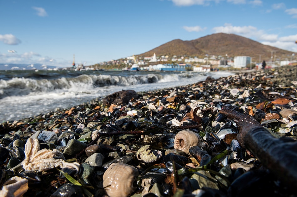 Russian sea pollution forms massive moving slick ABSCBN News