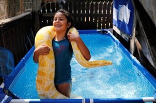 Israeli girl makes a splash with her pet snake
