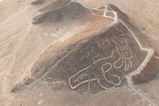 2,000 year-old cat etching discovered in Nazca hillside