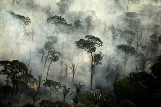 Forests, soil may not keep pace with CO2 emissions, experts warn