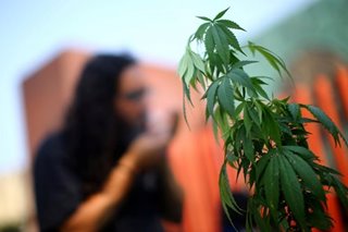 Cannabis still a 'dangerous drug,' says PH anti-narcotics body