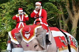 Santa rides elephants to Thai town, bearing gifts of face masks
