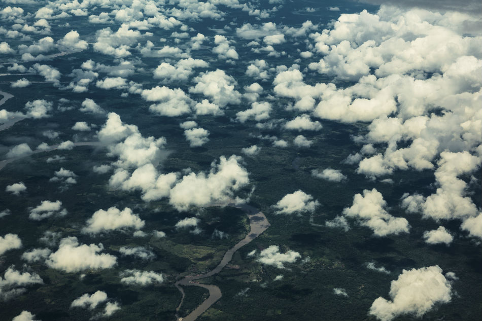 Colombia Sets New Record In Eradicating Coca Production | ABS-CBN News