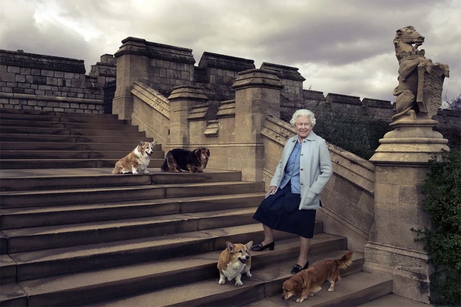 Queen Elizabeth loves dogs so much; Daniel Craig&#39;s James Bond met 3 of her royal corgis 1