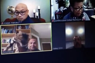 California official throws cat during Zoom meeting, faces removal calls