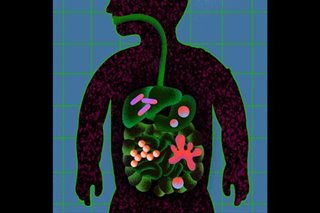 What we know about the COVID-related syndrome affecting children