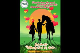 Have a heart for horses? Make one your ‘Valentine’ at PAWS event in Lipa