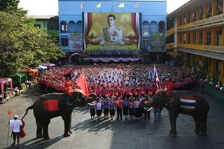 Big love: Thai students, elephants send Valentines to virus-hit China