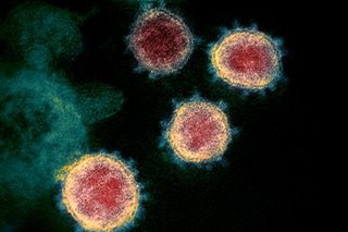 Coronavirus gene findings are no cause for alarm, says leading scientist