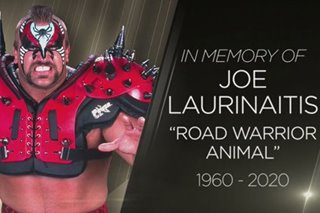 WWE: Legion of Doom's Road Warrior Animal passes away