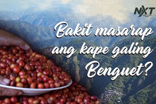 Kape tayo!: Bakit masarap ang kape na galing Benguet?