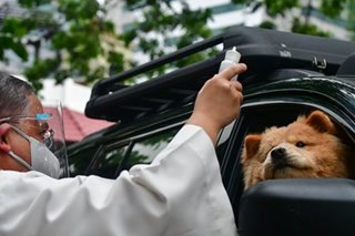 Drive-thru Blessing of pets in celebration of St Francis of Assisi Day