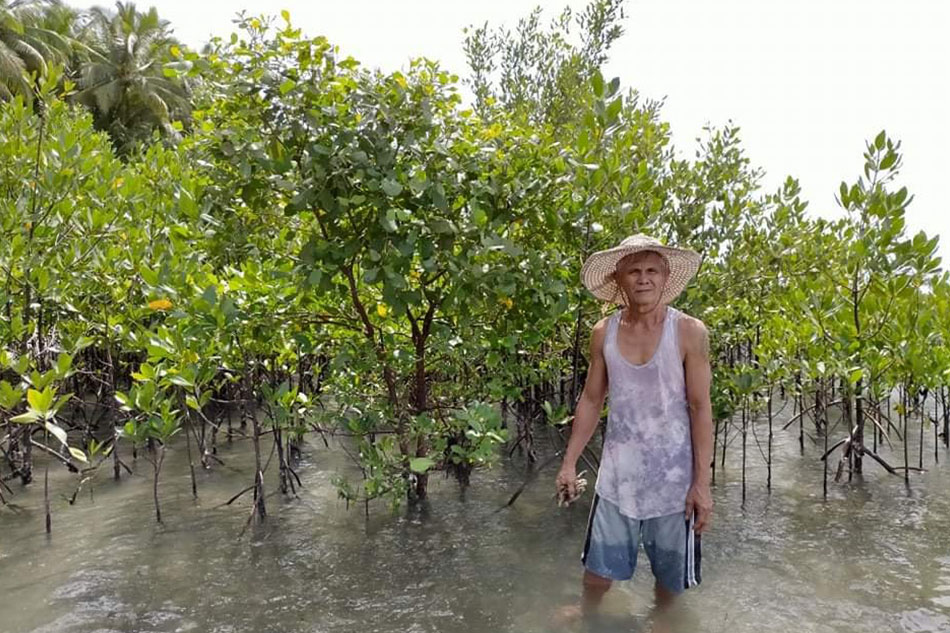 Yolanda survivor na mag-isang nagtanim ng libo-libong mangroves hinangaan 1
