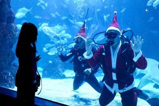 Underwater Santas