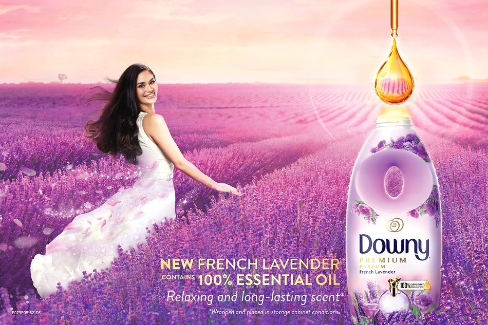 Downy's new Premium Parfum with French Lavender contains 100% lavender essential oil, keeping clothes smelling fresh for a long time while keeping you calm and relaxed with its light refreshing scent. Photo source: Downy