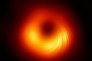 A 'starter kit' for supermassive black holes?