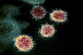 Contagious, concerning? What we know about COVID-19 variants