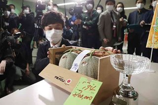 Japan premium melons go for P1.2 million after virus slump