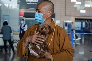 Dog's best friend: Chinese monk saves 8,000 strays
