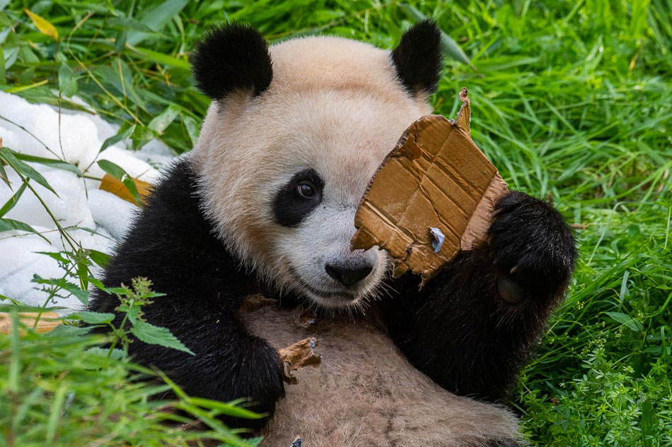 THE DAY IN PHOTOS: August 31, 2021 8