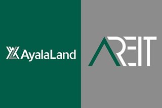 Ayala Land net income drops 74pct to P8.7B in 2020; AREIT posts P1.23B net income